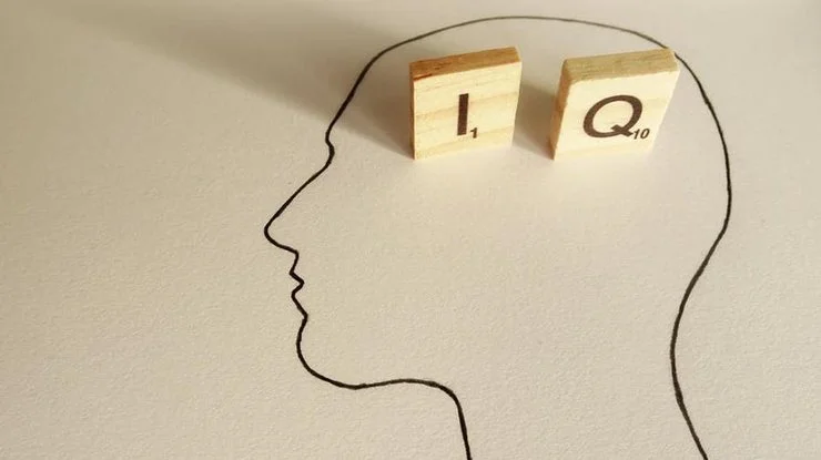 Названа людина з найвищим рівнем IQ у світі - T4 - сучасні технології ...